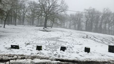 La Carballeira de Os Prados, en A Lama