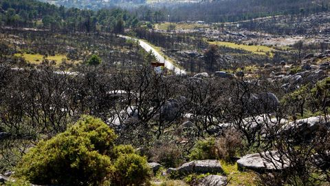 As est el monte de Barbanza un ao despus del gran incendio