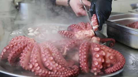 Entre ocho y nueve de cada diez pulpos que se consumen en Galicia proceden de otros pa�ses, pero por lo general no se explica de d�nde, como piden ahora pescadores.
