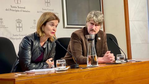 La secretaria de Pol�tica Auton�mica de Sumar, la diputada andaluza Esperanza G�mez, junto al portavoz parlamentario de IU-Convocatoria, XAbel Vegas, en la Junta General.