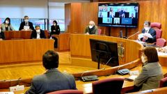 Pleno sobre el caso del enchufe de la cu�ada de Carmela Silva