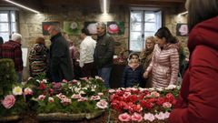 Las im�genes de la exposici�n de la Camelia Sansaqua