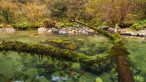 Nacimiento del rio Pur�n, en Llanes