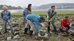 Xavier Vence e Iv�n Rivas recolectaron simb�licamente marisco en A Malata junto a otros miembros de la candidatura local del BNG