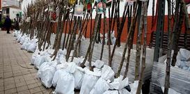 El precio del metro lineal ser� de un euro, hasta los 3,5 metros.