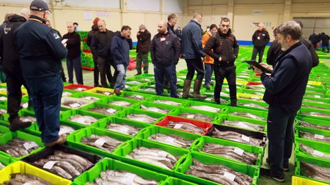 Subasta de merluza de volanta en Celeiro