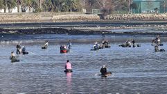 Mariscadoras en A Seca, en Poio