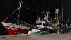 El volantero Albelo Primero, en imagen, permanece amarrado en Celeiro�estos d�as con iluminaci�n navide�a por iniciativa del patr�n y el motorista, como destaca su armador, Domiingo Rey