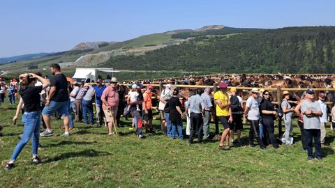Ambiente en la 46. edicin de la Rapa de Campo de Oso
