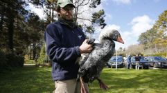 Chapapote en el Lagares