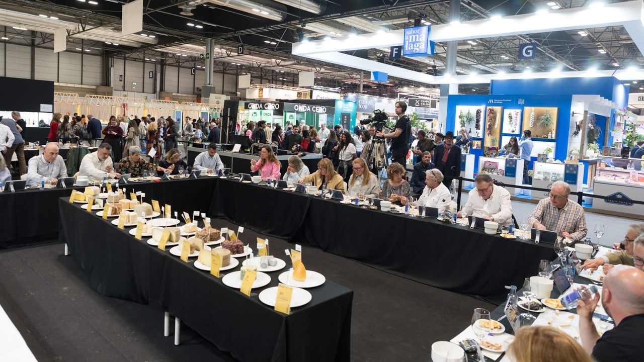 Nueve medallas para los quesos gallegos en el campeonato del Salón Gourmets, con dos candidatos al mejor de España y otro par que optan al Champion Gold del Icex