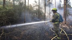 Un brigadista trabaja en las labores de extincin del incendio declarado en Castroverde (Lugo).