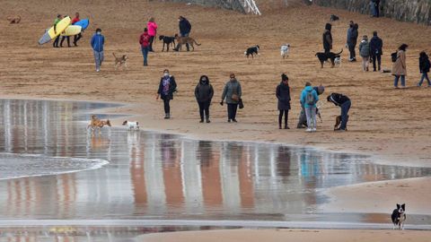 Un grupo de personas pasean con sus perros por la playa de San Lorenzo en Gijn