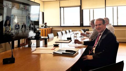 El alcalde de Vigo, Abel Caballero, durante la reuni�n telem�tica convocada por el CSD.