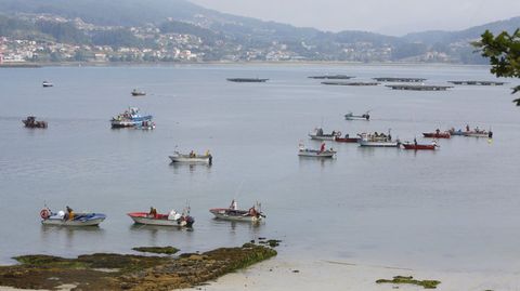 El marisqueo a flote no regresar� a la r�a de Pontevedra al menos hasta noviembre
