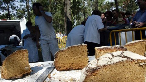 La romer�a es el parque forestal de Cotogrande