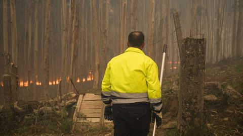 Imagen de archivo de un agente forestal