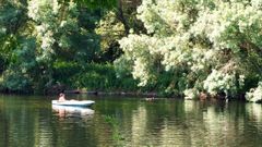 Los buzos, analizando el lecho del r�o Mi�o en busca de mejillones
