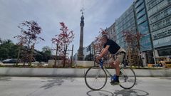 Plantaci�n de las primeras cuatro hayas rojas en el entorno inmediato del Obelisco, en A Coru�a