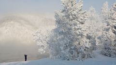 Una mujer hace fotos a orillas del r�o Yens�i, completamente cubierto de nieve y escarcha, a las afueras de Krasnoyarsk (Rusia).