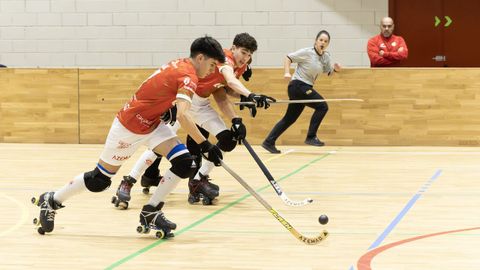 Imagen del choque en el Carballo Calero entre el Lubins y el Mieres (5-3).