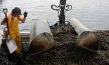 En el 2014 las descargas de mejill�n aumentaron en puertos como el pobrense. 