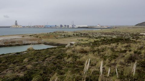 Vista de la zona del muelle sur del puerto exterior de punta Langosteira, en Arteixo