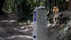 Un moj�n indicativo de la ruta, en el Camino de Invierno a su paso por Monforte, en una imagen de archivo.