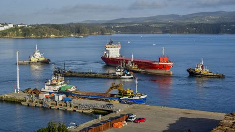El mercante Albiz ya est� en puerto descargando