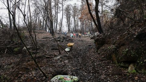 Los voluntarios estarn dos das trabajando