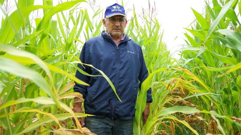 Eliseo Cebreiro Paz, ganadero de Bardaos, en San Sadurni�o, ayer en una plantaci�n de ma�z en Sedes, Nar�n
