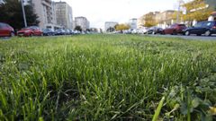 La hierba de espacios p�blicos (en  la imagen, mediana de la avenida de Madrid, en Lugo) es materia prima que puede usarse para la obtenci�n de biog�s o de biometano