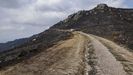 Tierra quemada en el incendio que arras casi 20.000 hectreas en la zona de Chandrexa de Queixa