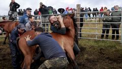 La tercera edici�n acoge a m�s de 300 animales