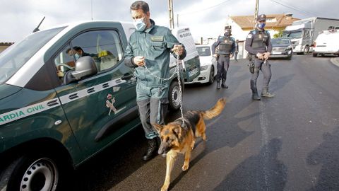 Golpe al clan de los Ferrados