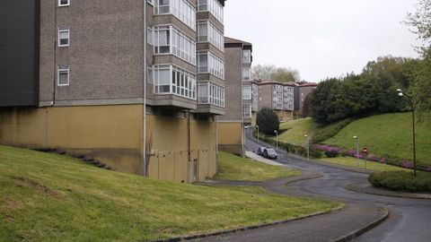 La ra Alexandre Bveda, en Santiago, donde apareci el animal.