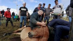 La rapa das bestas de Vilalba en im�genes