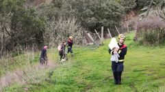 Las fotos del choque del�tren contra la catenaria en Quiroga
