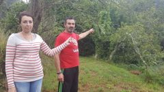 El matrimonio afectado se�ala el nido junto a su casa