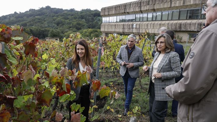 La conselleira Mara Jos Gmez visit la Estacin de Viticultura e Enoloxa de Galicia, en Ponte San Clodio.