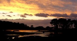 A Illa ofrece al turista una rica oferta gastron�mica, l�dica y cultural que acompa�a a sus inigualables parajes naturales. 