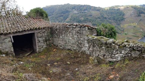 Una de las antiguas bodegas de piedra que proliferan en la zona