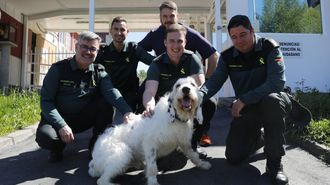 Pist�n, tras recuperarse de sus lesiones y acompa�ado por los agentes de la Guardia Civil que lo rescataron, en el cuartel de O Carballi�o