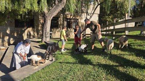 El cuidado diario de los animales permite trabajar la responsabilidad, la cooperaci�n y la capacidad de espera. de toda la comunidad educativa.