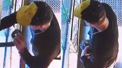 El arriesgado robo de la pit�n