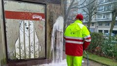 Tareas de limpieza en el parque Rosal�a