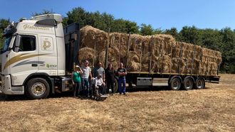 El primer cargamento para Ourense sali de Trasparga (Guitiriz) el pasado sbado