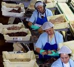 Calvo es l�der en las conservas de at�n.