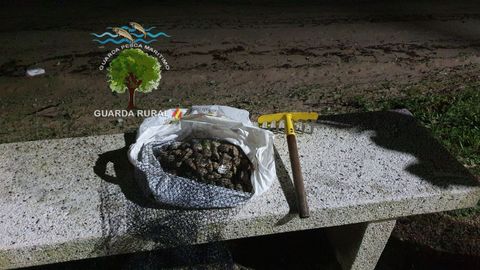 Decomiso de marisco y de un rastillo por guardapescas de Cabo de Cruz