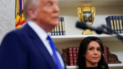 Tulsi Gabbard observa al presidente en el despacho oval, en febrero del 2025.